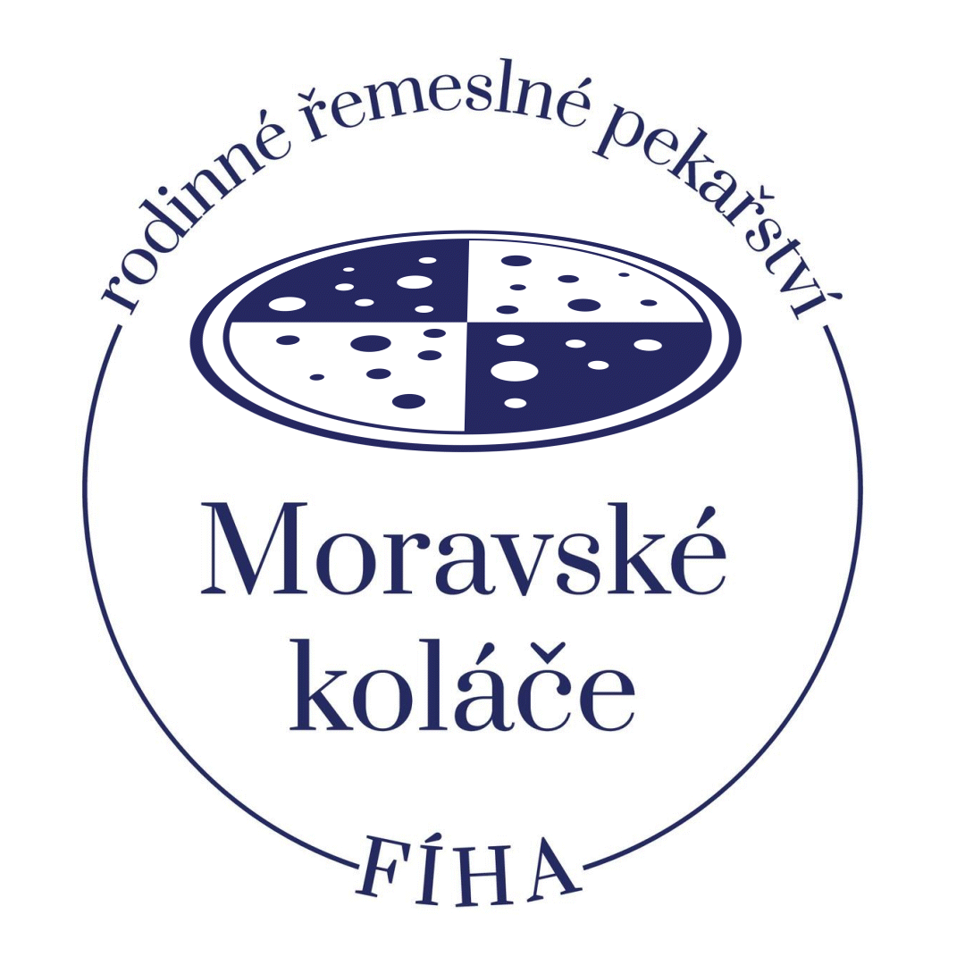 PROFILOVKA_v2 (1)